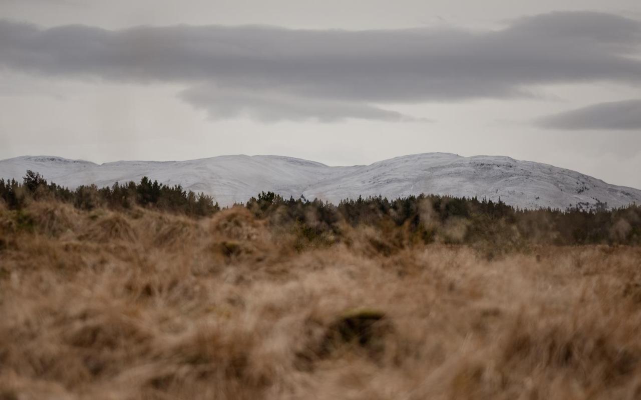 Highland Shepherd Huts Nethy Bridge Exteriör bild